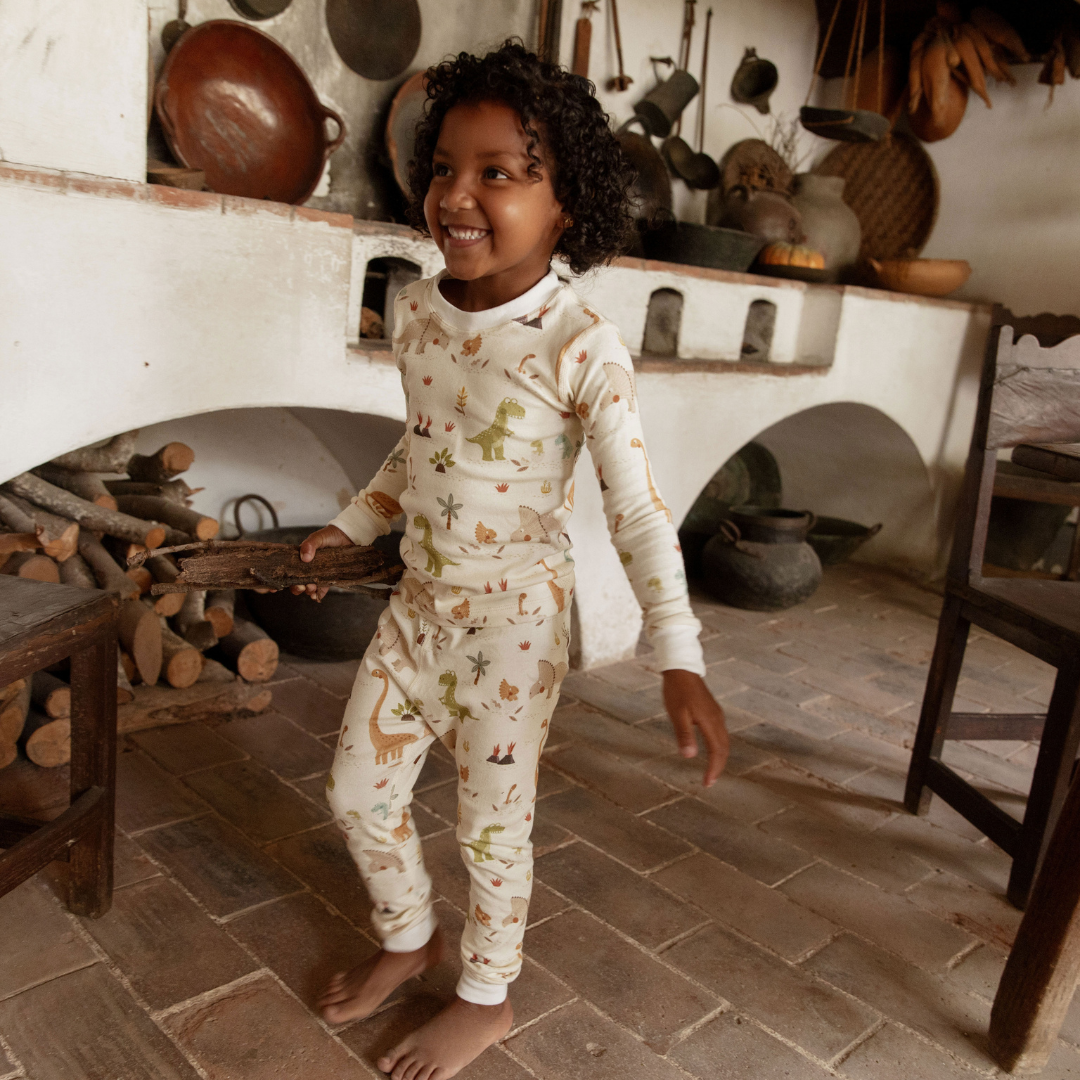 Dinosaur Organic Cotton Pajamas