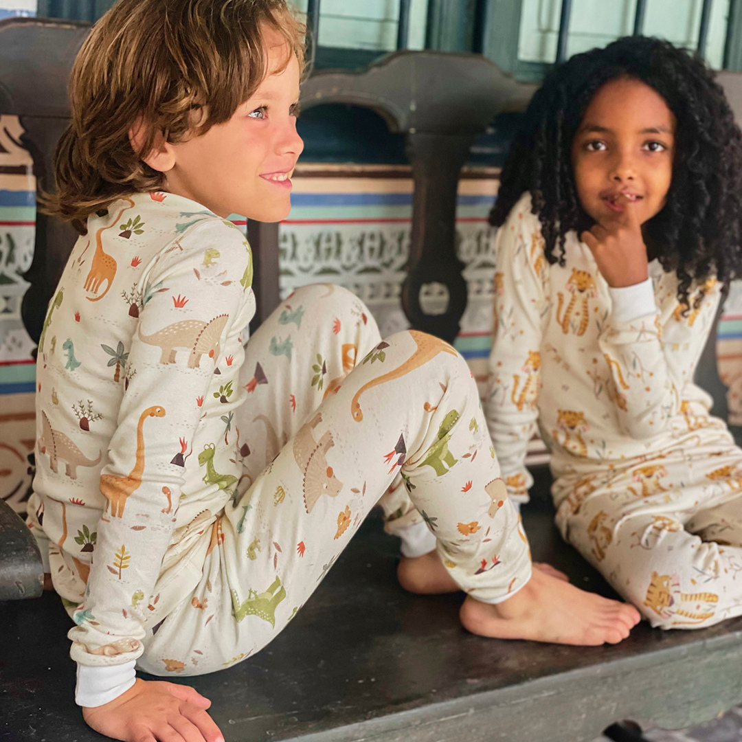 Dinosaur Organic Cotton Pajamas
