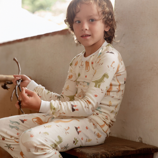 Dinosaur Organic Cotton Pajamas